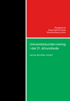 Billede af Universitetsundervisning i det
