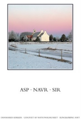 Billede af Danmarks Kirker, Ringkøbing 24