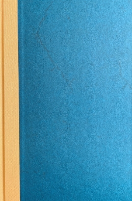 Billede af Sophismata