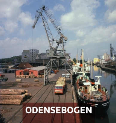 Billede af Odensebogen 2024