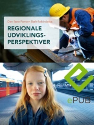 Billede af Den faste Femern Bælt (e-bog)